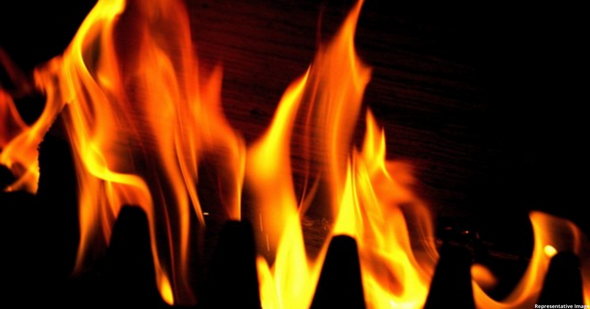 Tamil Nadu: 2 dead in fire at Dharmapuri cracker firm's godown